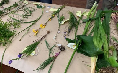 Workshop highlights the need for Weed ID