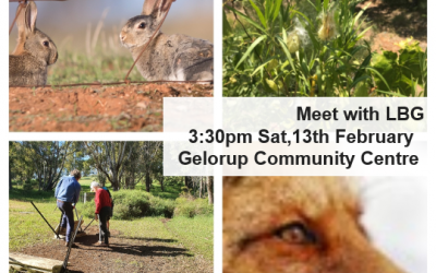 LBG Meeting at Gelorup Community Centre to Discuss Declared Pest Management