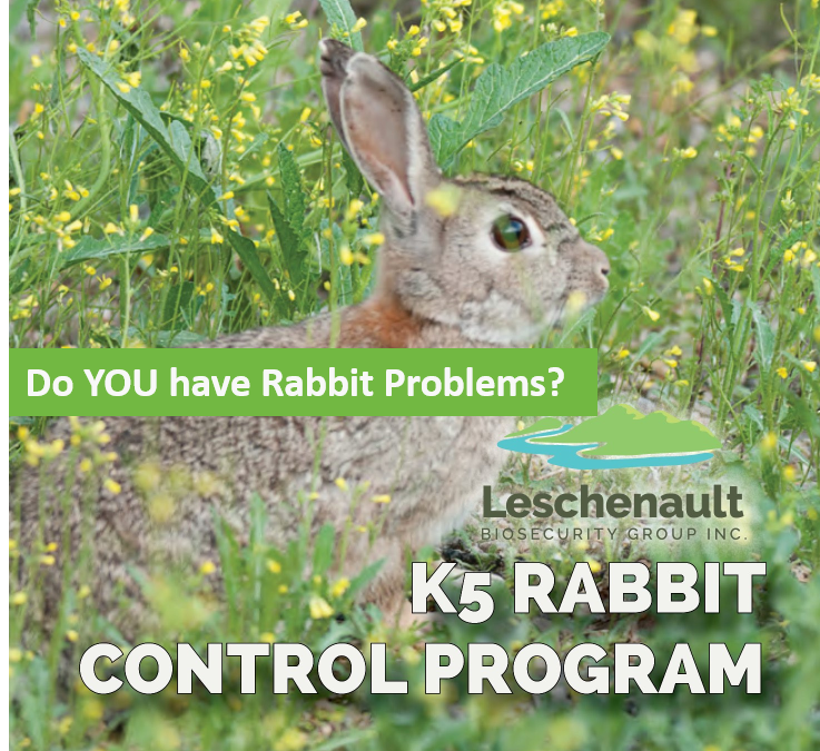 K5 Release Rabbit Control Program Commencing January 2021