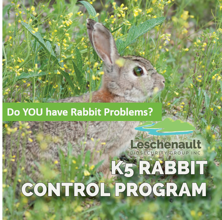 K5 Release Rabbit Control Program Commencing January 2021