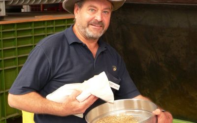 Biosecurity ACTIONS _ WA Grain Growers Encouraged to Participate in National Surveillance Program