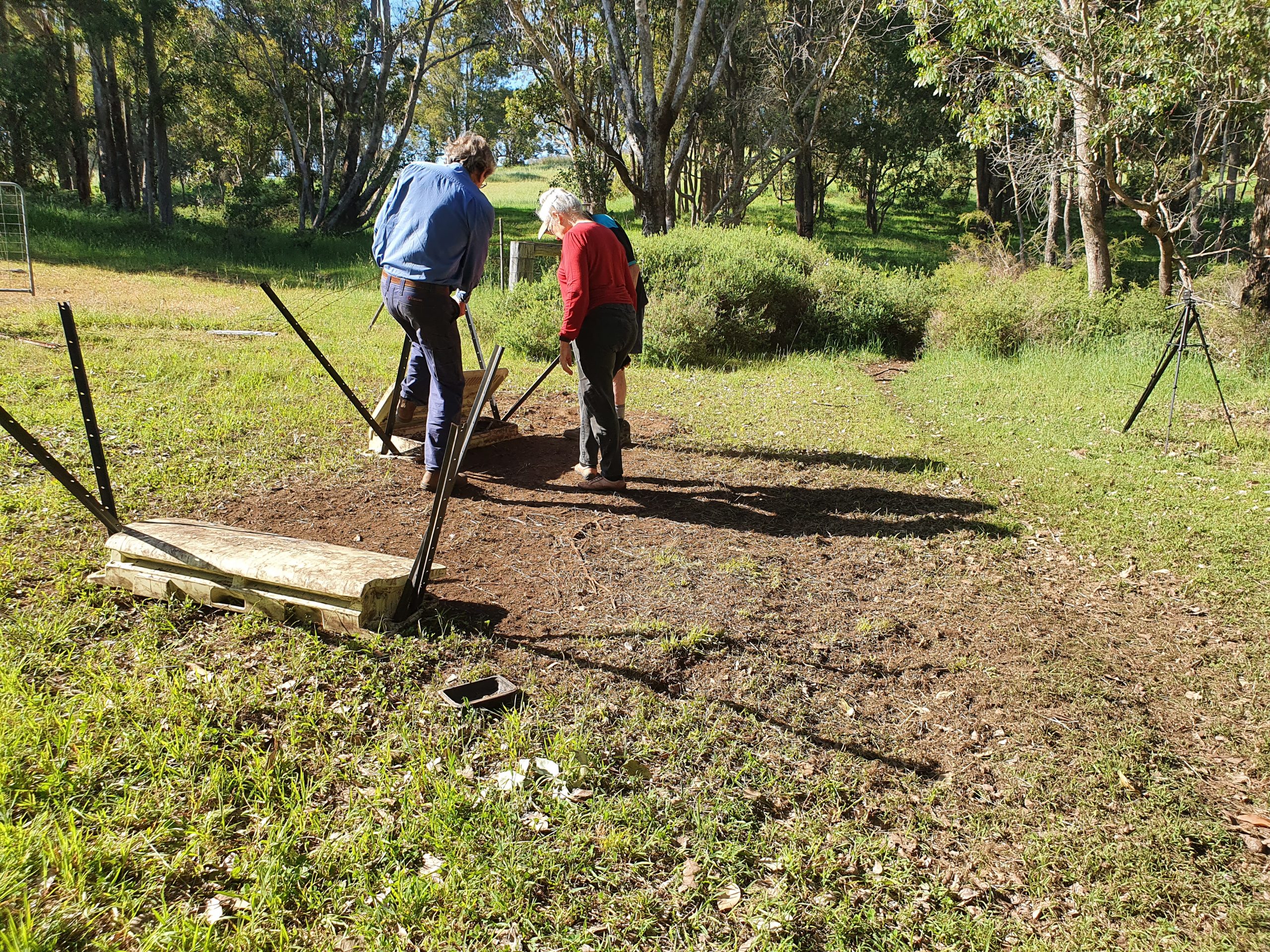 ABC News highlights Leschenault Biosecurity Group’s Successful Feral Pig Control Trials