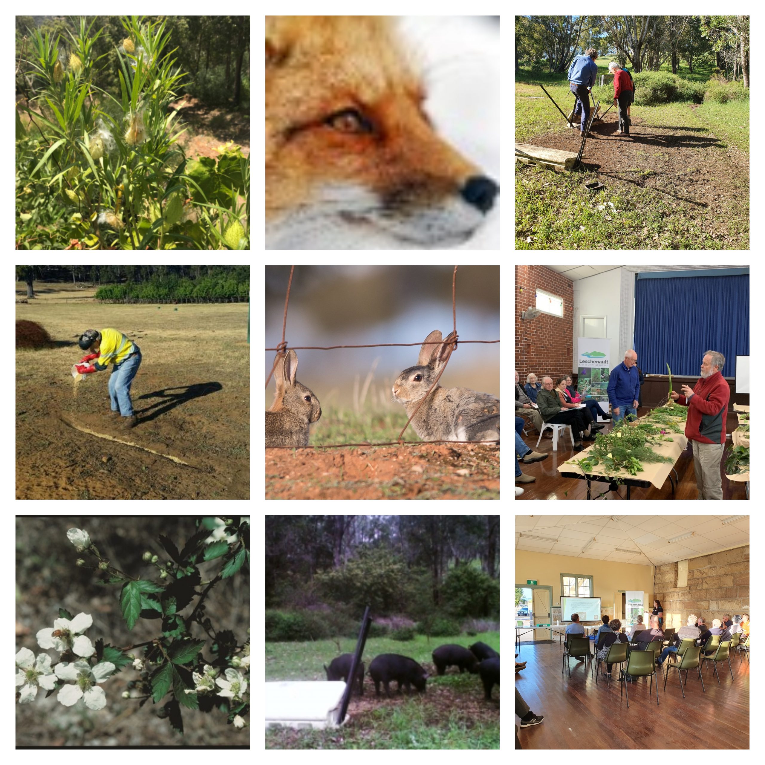DPIRD Invites Submissions on the Proposed Declared Pest Rates for Financial Year 2021-2022