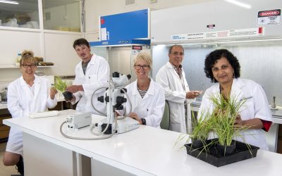 Celebration of Science Week 2021  –  New Publication Shares Highlights of WA Agriculture & Aquaculture Research & Development Projects