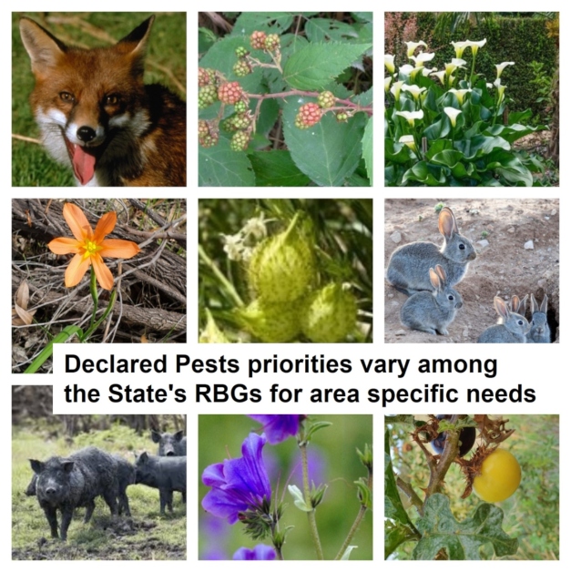 Statewide Biosecurity Supported by Declared Pest Rate