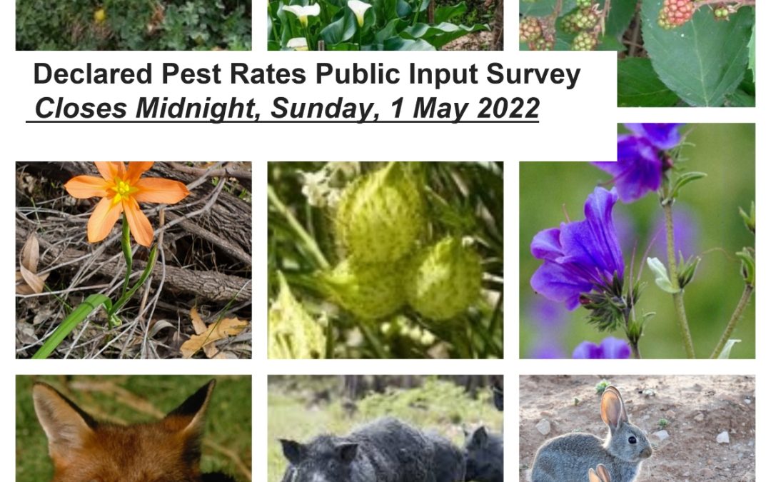 Declared Pest Rates – State Invites Public Submissions thru 1 May 2022