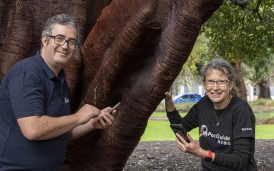 Tree Pests in the Spotlight for 2022 Biosecurity Blitz