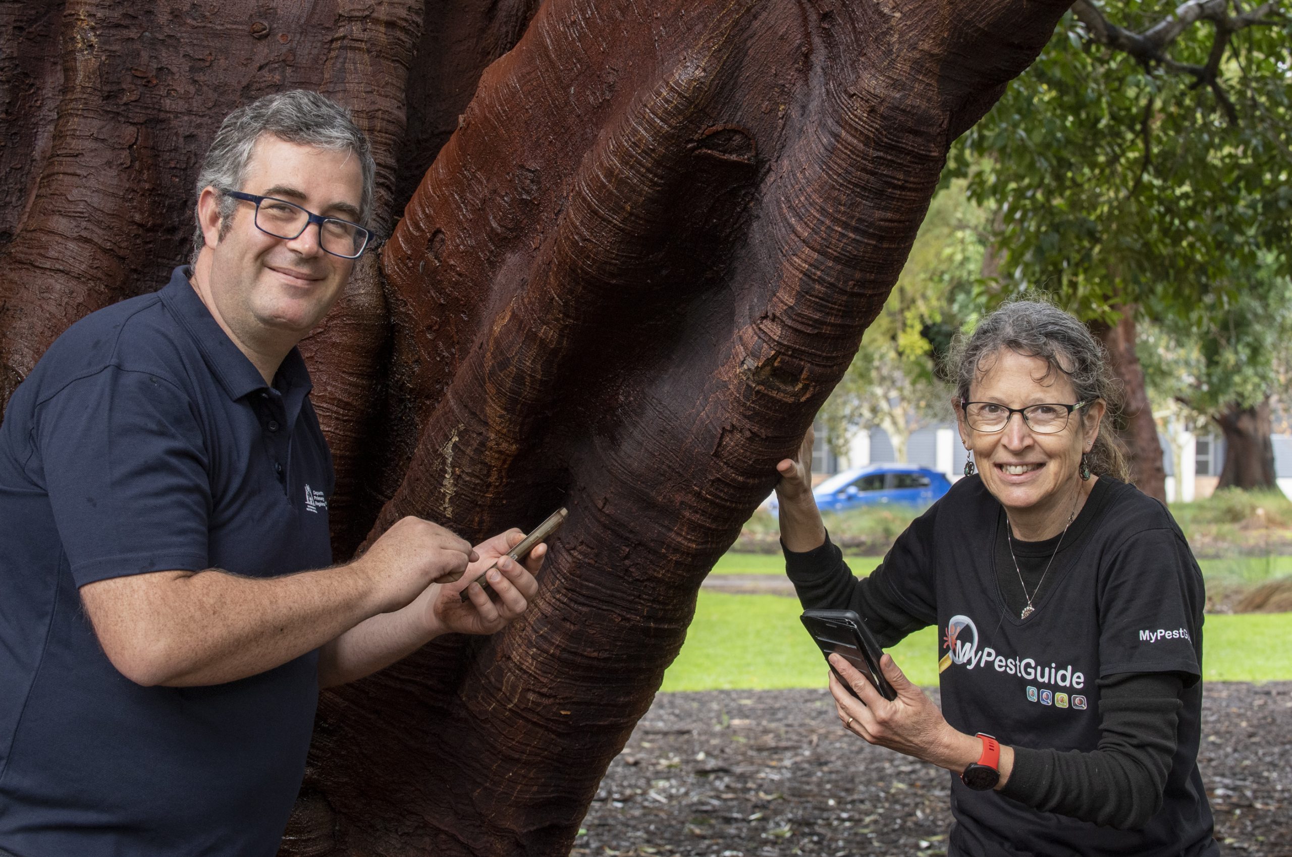 Tree Pests in the Spotlight for 2022 Biosecurity Blitz