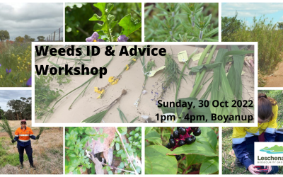 Weeds ID & Advice Workshop