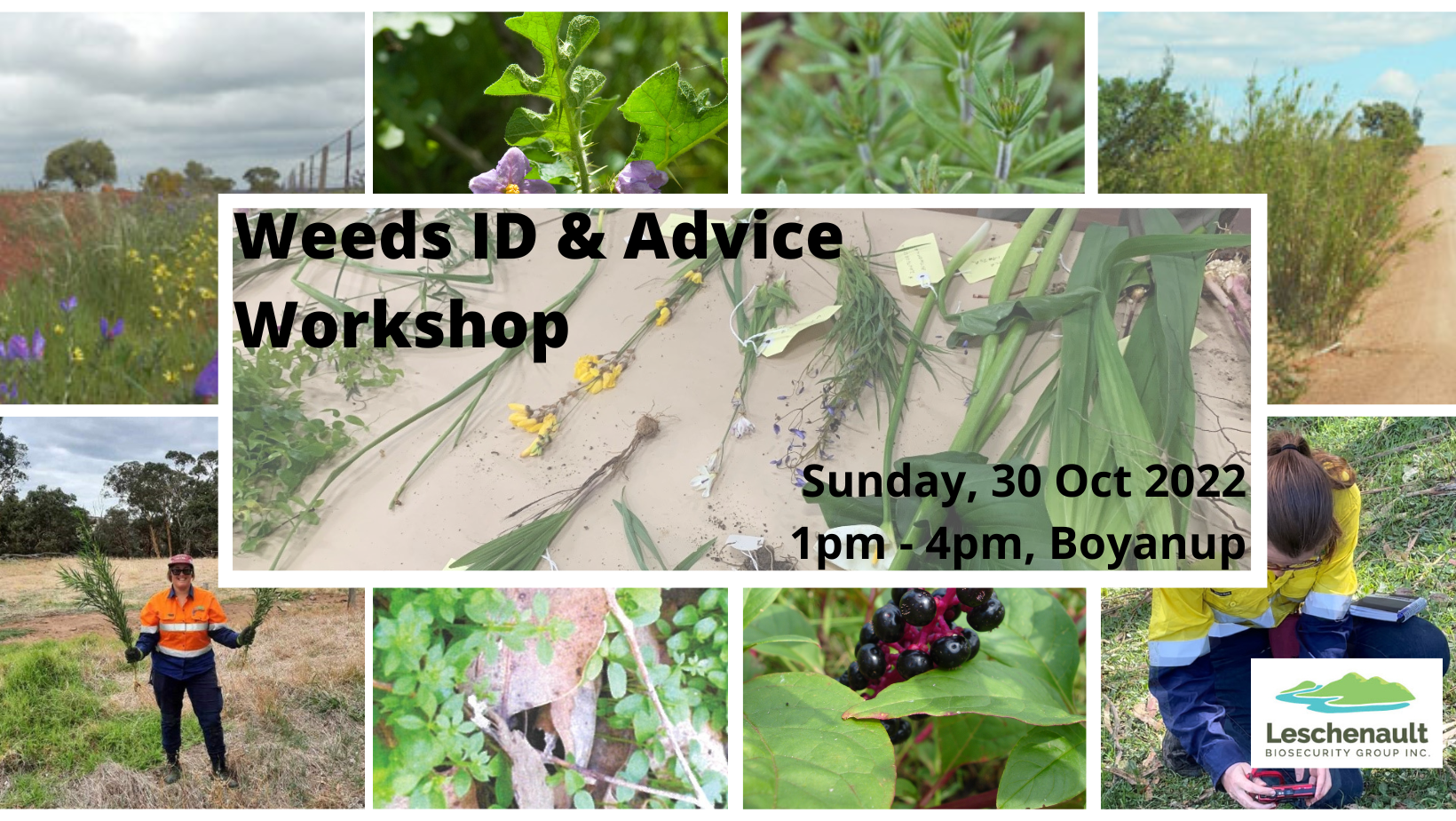 Weeds ID & Advice Workshop