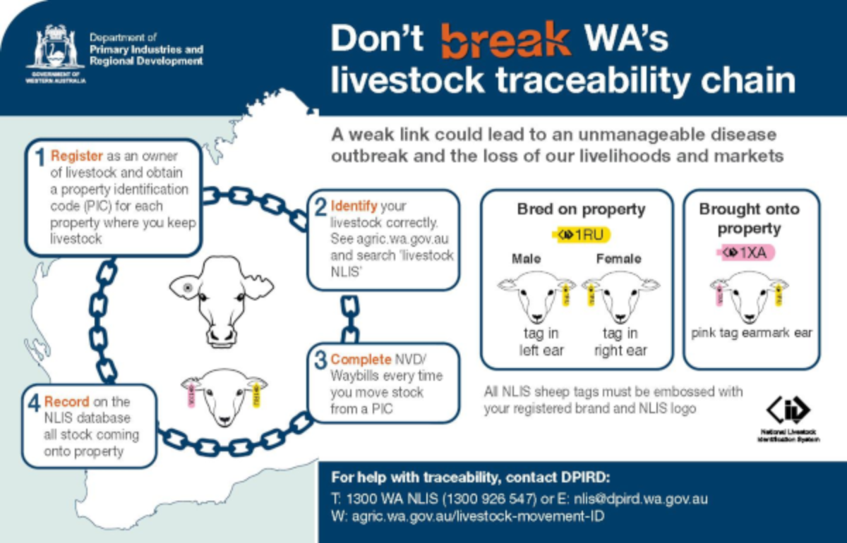 Livestock Identification Compliance Operation _ DPIRD 30 Sept 2022 Media Release