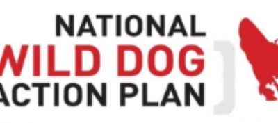 National Wild Dog Plan Survey – WA Respondents Sought