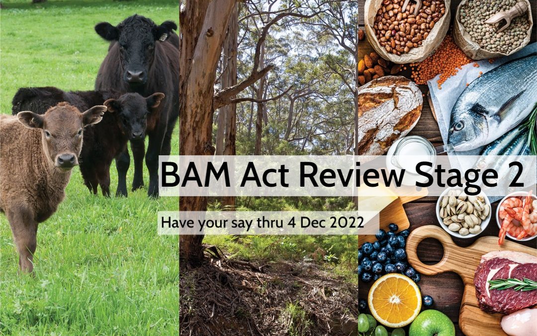 BAM Act Review Stage 2 – Have your say thru 4 Dec 2022
