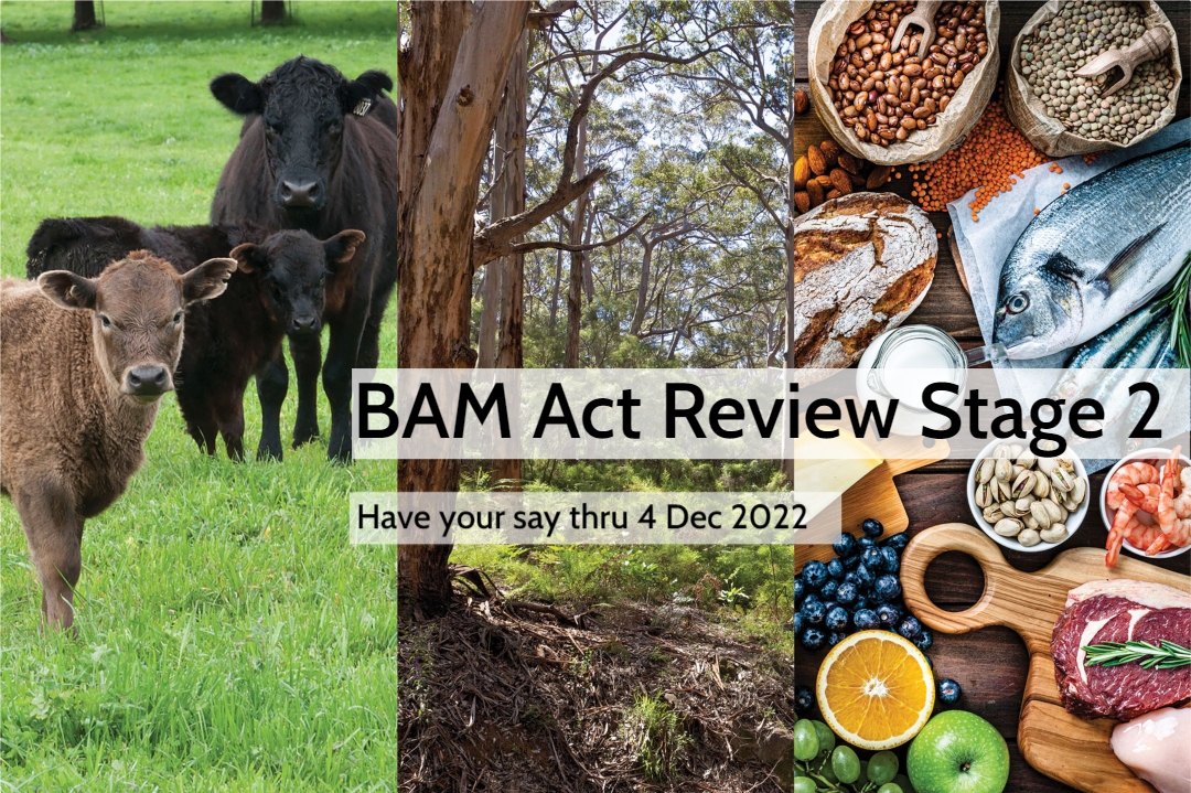 BAM Act Review Stage 2 – Have your say thru 4 Dec 2022