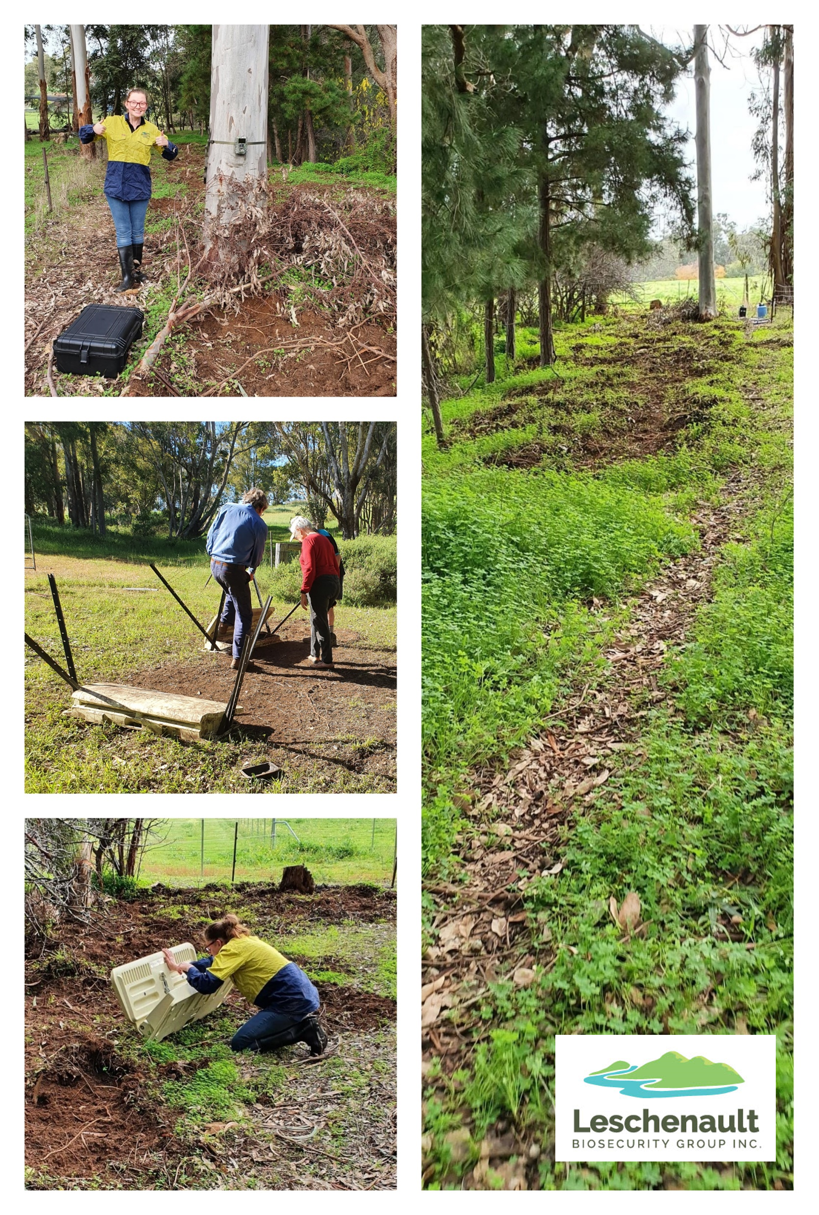 Tell NO PORKIES: Feral Pig Control is essential & a big part of the LBG’s on-going activities