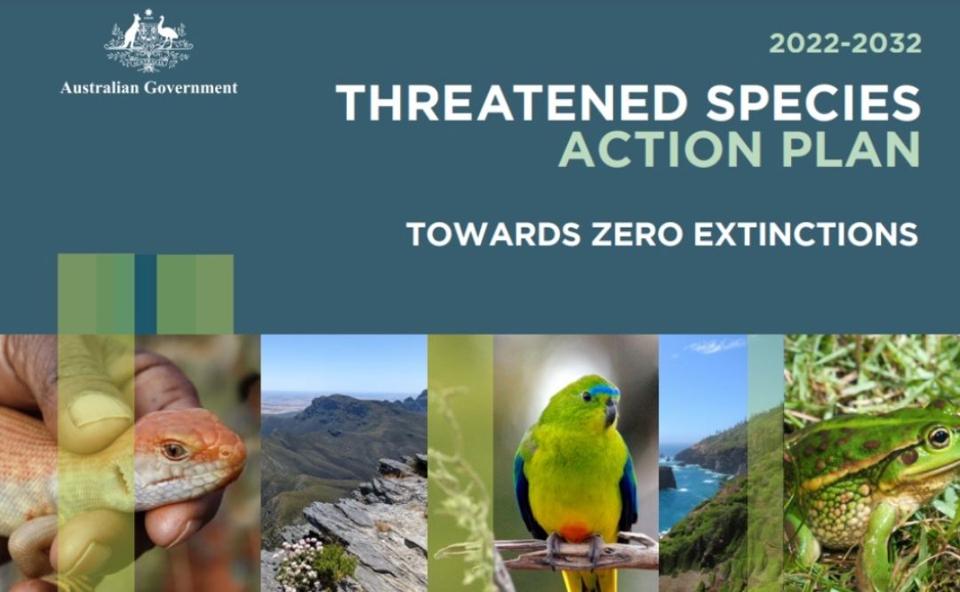 2022-2032 Threatened Species Action Plan Released
