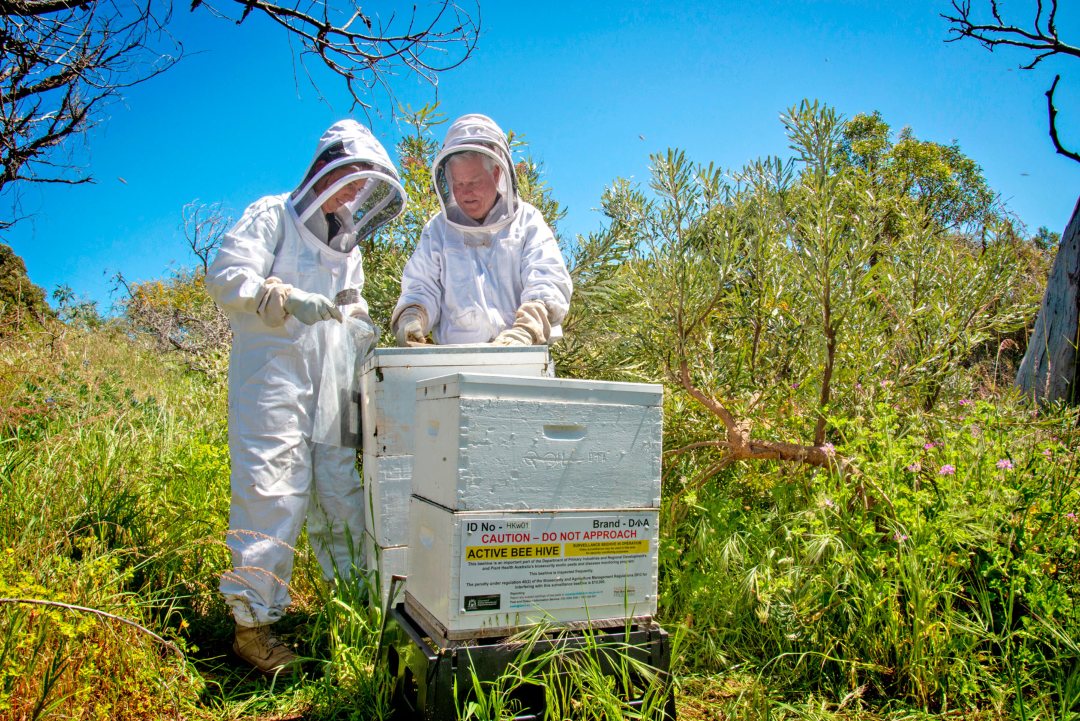 Operation Flower Meadow highlighting bee biosecurity traceability