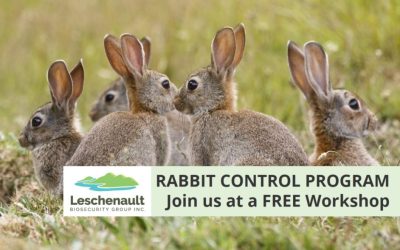 Rabbit Control Calicivirus RHDV1 K5 Release Program – January 2024 Workshops