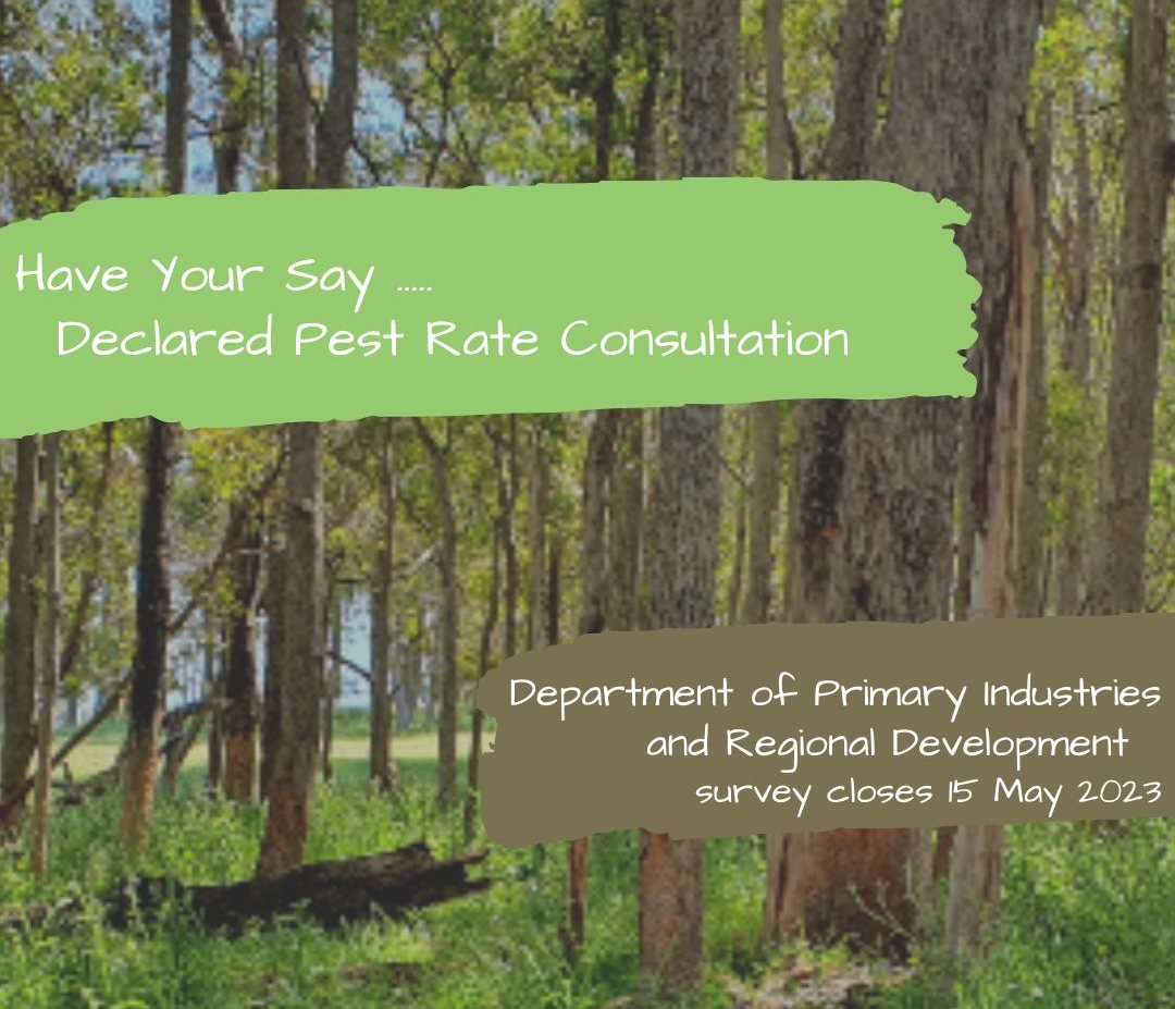 Declared Pest Rate Consultation: Have Your Say