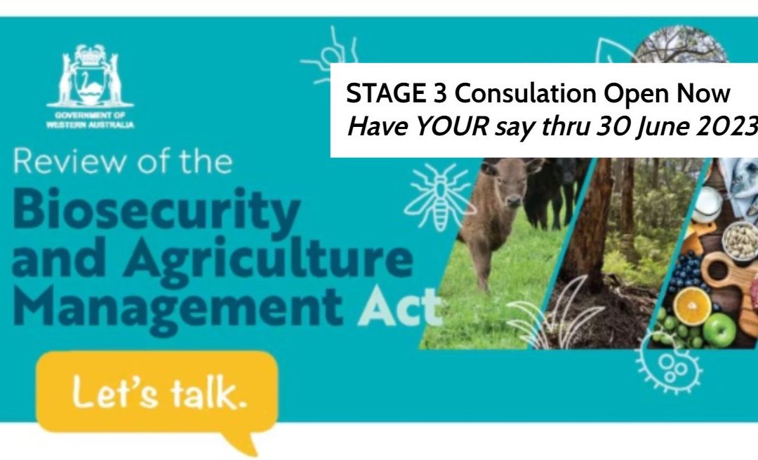 BAM Act Review – Stage 3 Consultation