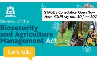 BAM Act Review – Stage 3 Consultation