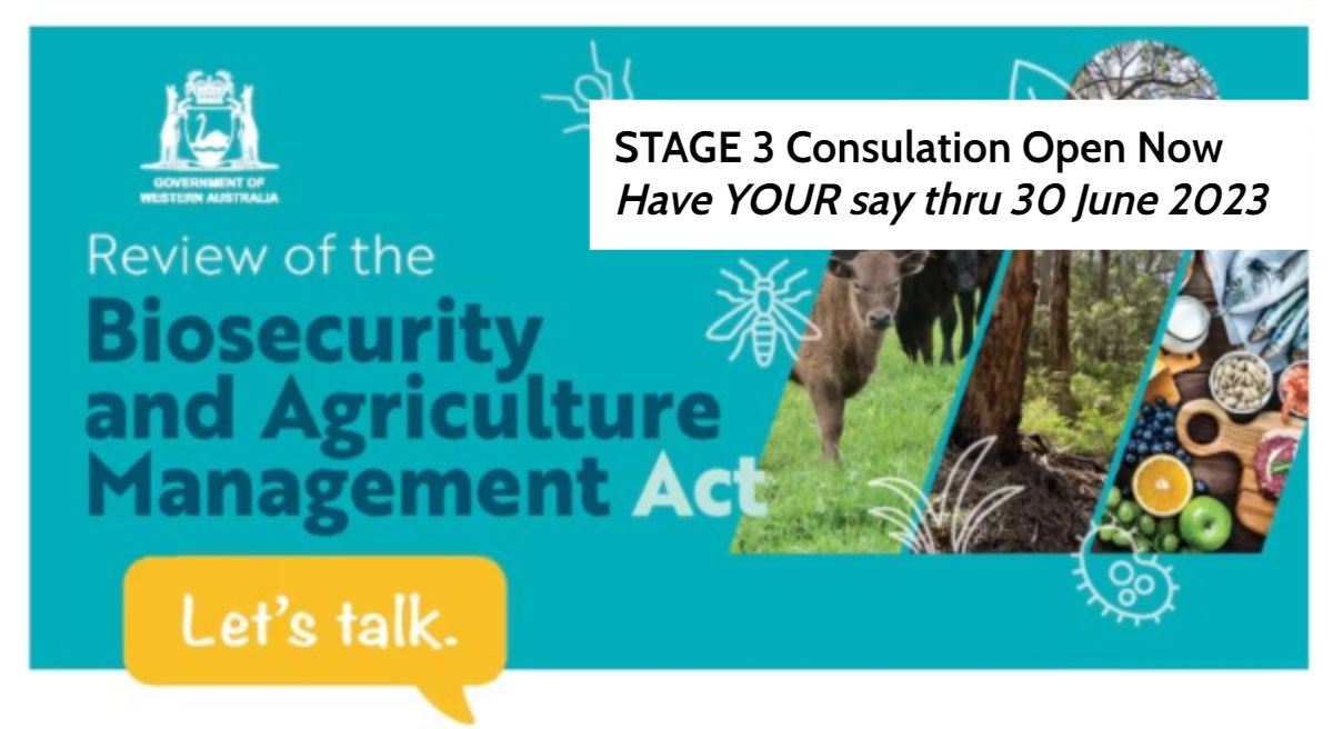 BAM Act Review – Stage 3 Consultation