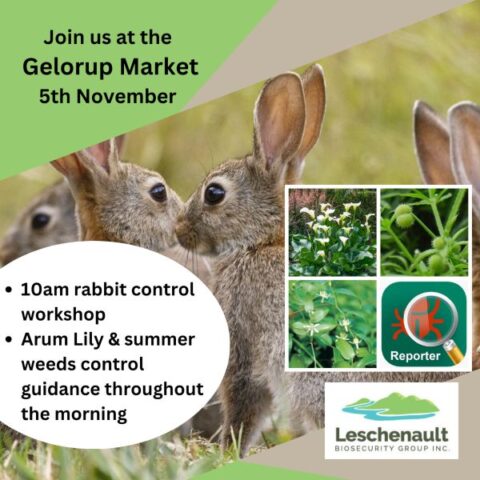Community Rabbit Control โPop-upโ Rabbit Control Workshop @ Gelorup Community Market ...