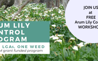 Arum Lily Control Workshops