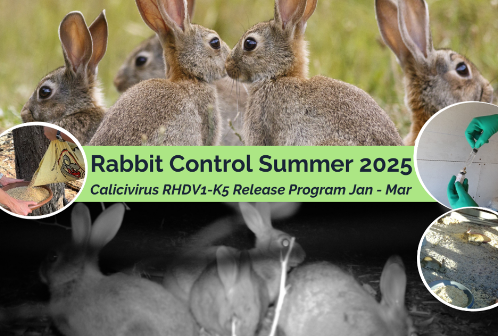 Rabbit Control – Persistence & Integrated Control Methods are Key