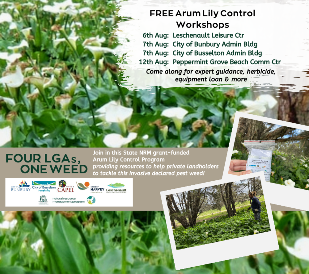 Arum Lily Control Workshops