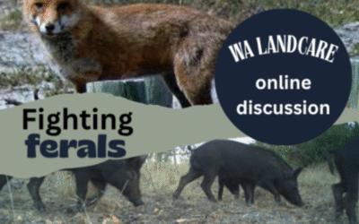Fighting Ferals _ WA Landcare Online Discussion