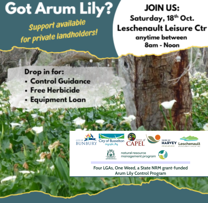 Got Arum Lily? Join Us in Arum Lily Control Drop-In Event