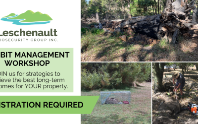 JOIN US for a practical Rabbit Management Workshop
