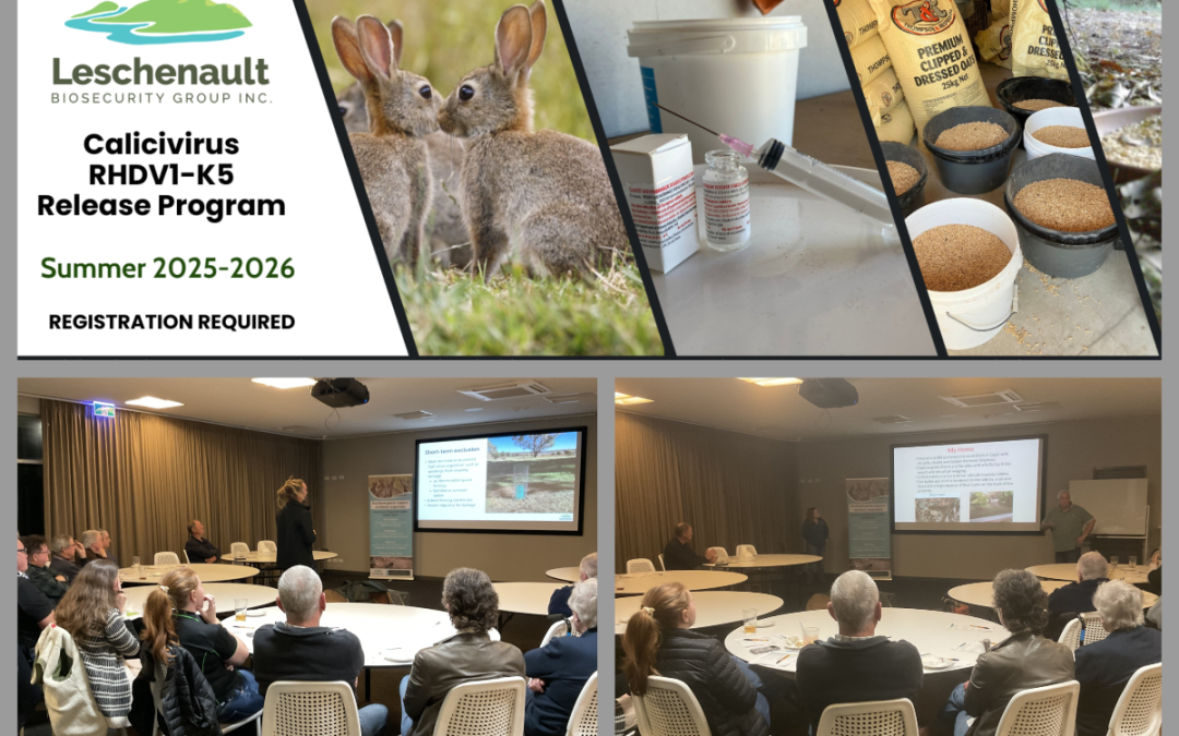 From “Silver Bullet” to Integrated Controls:  Shifting Community Approaches to Rabbit Management