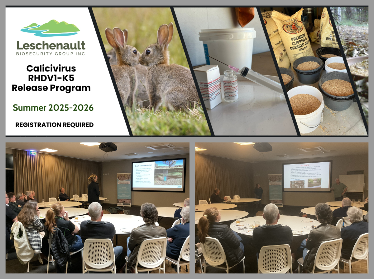 From “Silver Bullet” to Integrated Controls:  Shifting Community Approaches to Rabbit Management