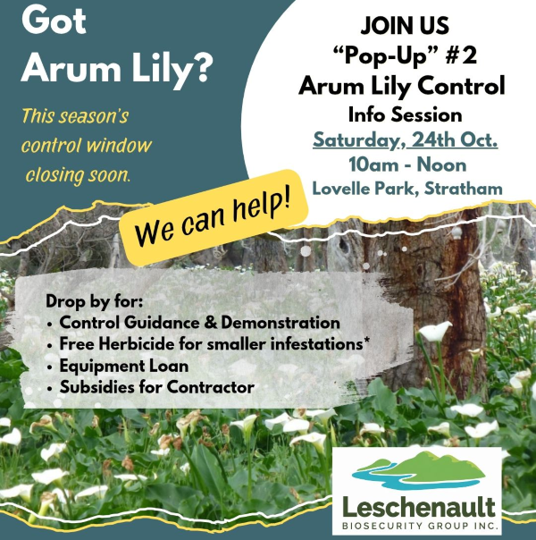 Arum Lily Control Pop-Up Support Event @ Stratham’s Lovelle Park